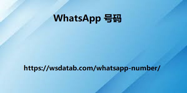 WhatsApp 号码