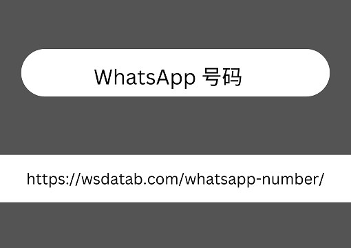 WhatsApp 号码