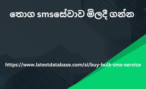 තොග sms සේවාව මිලදී ගන්න