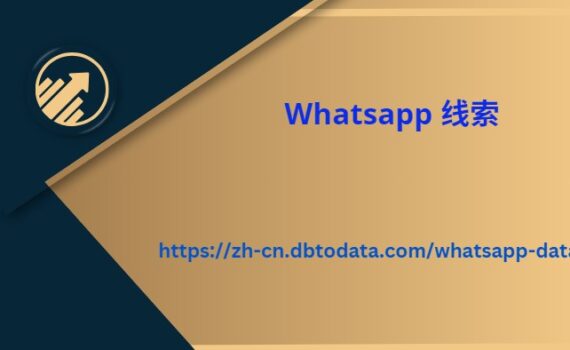 Whatsapp 线索